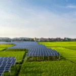 Module Shortage and Policy Challenges Slow Down India's Utility-Scale Solar Projects thumbnail