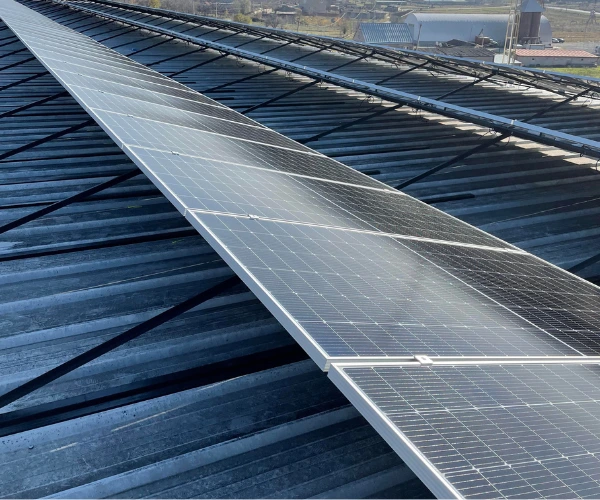 solar cell and module