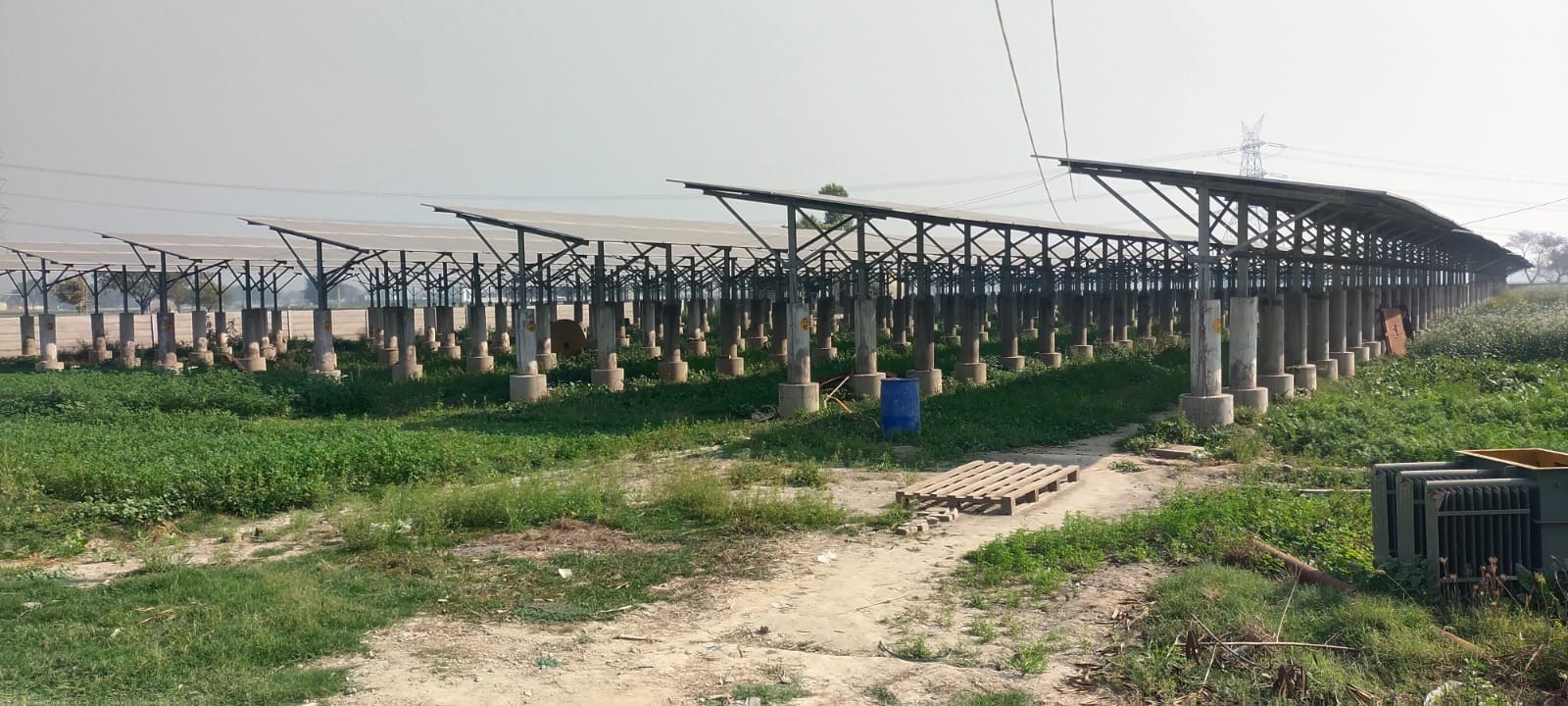 Agro photovoltaic solar Solutions